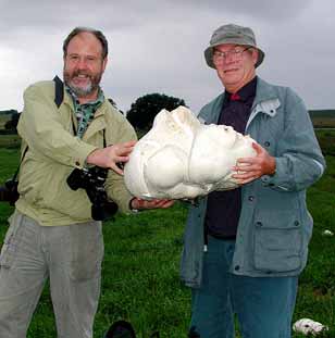 Volker und Helmut (v.l.n.r.)