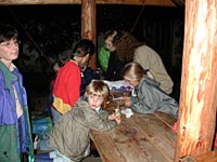 Bild Nr. grillen1083.jpg