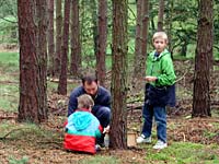 Bild Nr. wandern1119.jpg