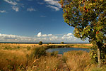 Bild Nr. 7969